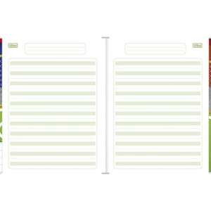 CADERNO CALIGRAFIA BROCHURA 40FLS PAUTA VERDE  JANDAIA