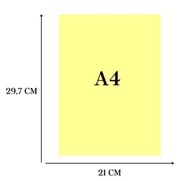 https://www.ppmaia.com.br/image/cache/data/eftr/Img_ftr_rp_3356201-580x580.JPG