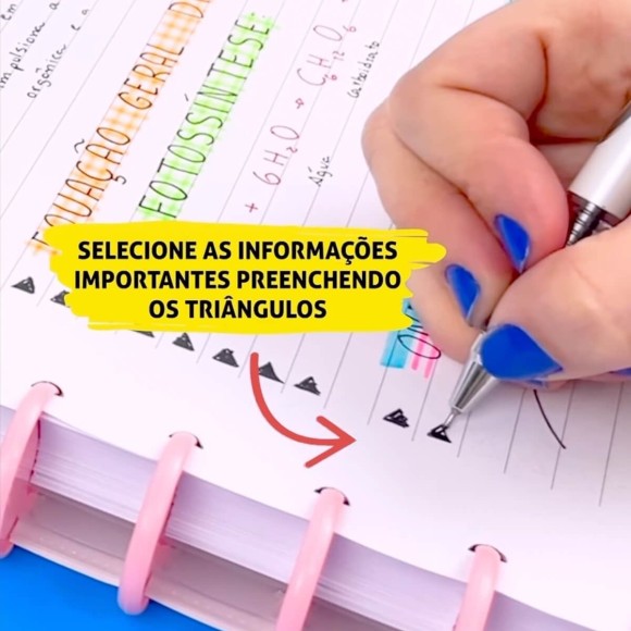https://www.ppmaia.com.br/image/cache/data/eftr/Img_ftr_rp_3694901-580x580.JPG