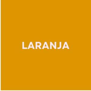 Papel Cartao Folha 48X66cm - Unidade