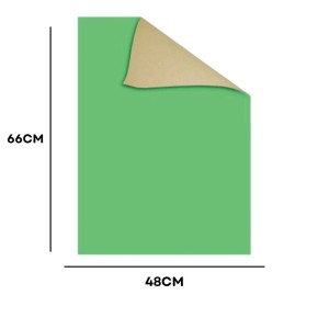 Papel Cartao Folha 48X66cm - Unidade