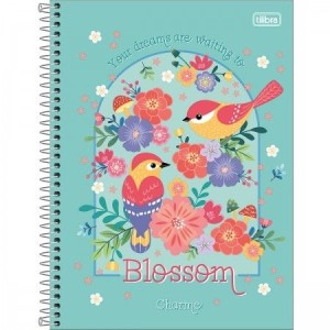 CADERNO UNIVERSITARIO 1 MATERIA 80FLS CHARME TILIBRA
