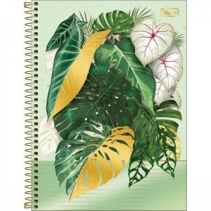 CADERNO UNIVERSITARIO 1 MATERIA 80 FLS NATURALIS TILIBRA