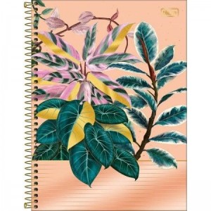 CADERNO UNIVERSITARIO 1 MATERIA 80 FLS NATURALIS TILIBRA