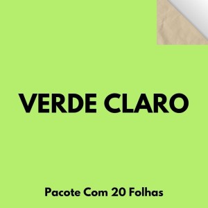 Papel Cartao 48X66cm Pacote Com 20 Folhas