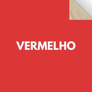 Papel Cartao Folha 48X66cm - Unidade